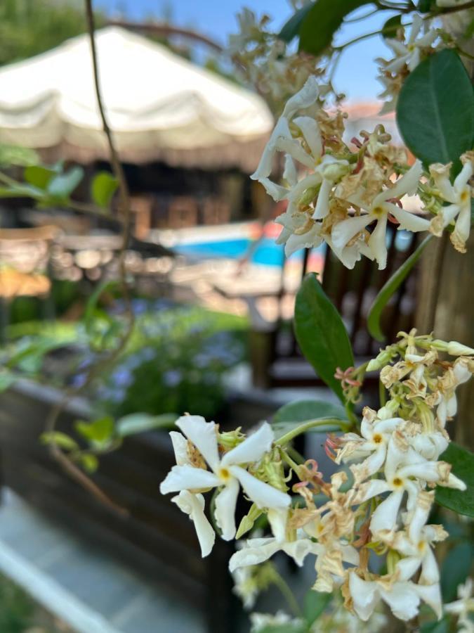 Pupa Alacati Butik Otel Çeşme Εξωτερικό φωτογραφία